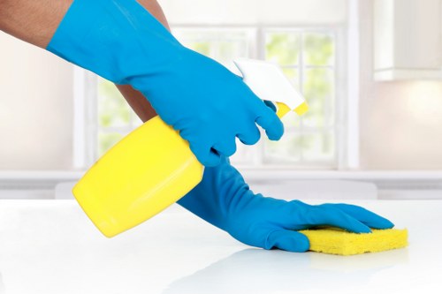 Secure Nottinghill Cleaner payment checkout on a laptop