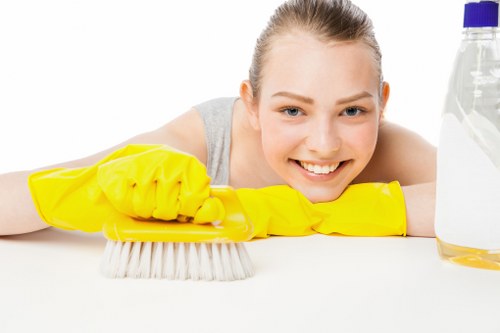 Professional gutter cleaning for a Nottinghill period home