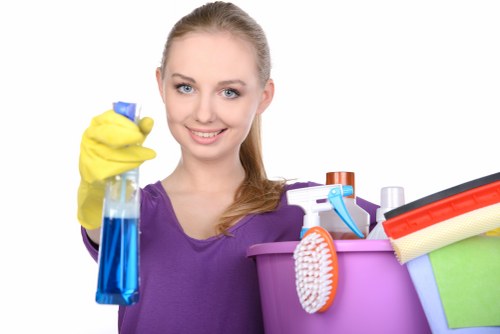 Professional deep cleaning process for a Nottinghill flat